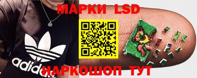 ГАЛЛЮЦИНОГЕННЫЕ ГРИБЫ Кулебаки